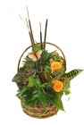 Planter in a Basket - Large Decorated from Flowers by Ray and Sharon in Muskegon, MI