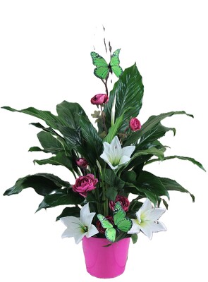 Peace Lily in a Colorful Tin with Silk Flowers from Flowers by Ray and Sharon in Muskegon, MI