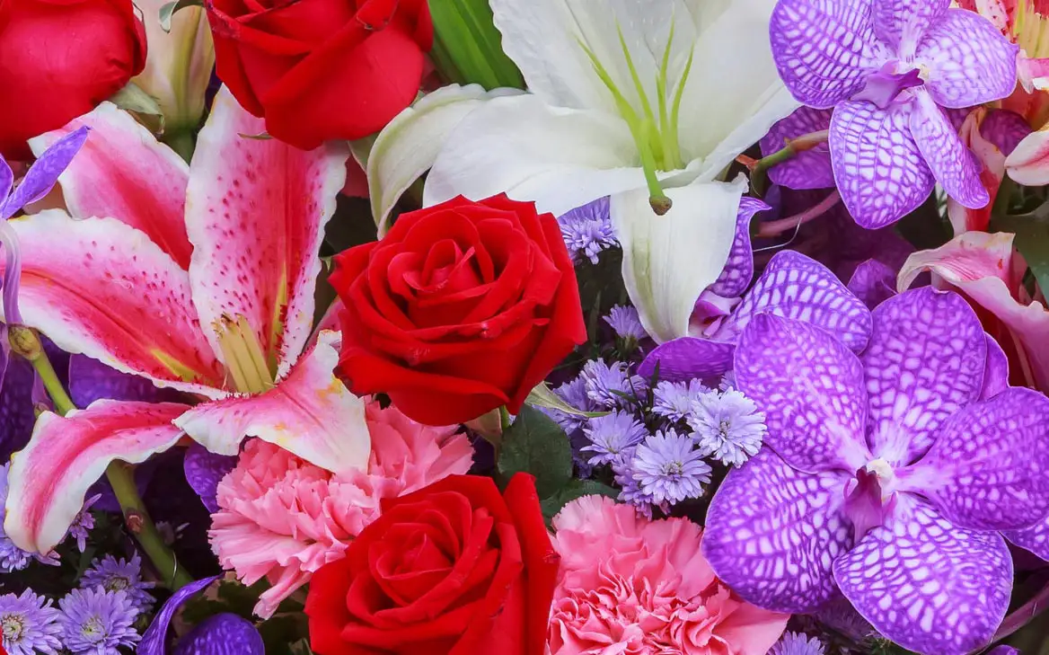 Everyday Flowers in Muskegon - Flowers by Ray and Sharon