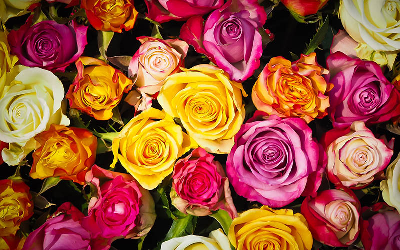 Wedding Flowers in Muskegon - Flowers by Ray and Sharon