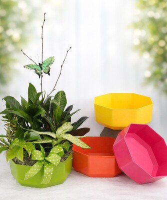 Garden Party Planter from Flowers by Ray and Sharon in Muskegon, MI