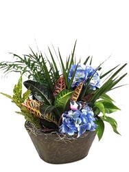 Little Bird Oasis Dish Garden from Flowers by Ray and Sharon in Muskegon, MI