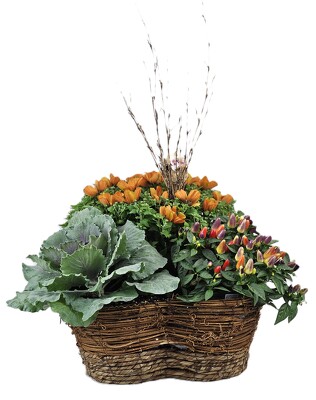 Fall Trio Basket from Flowers by Ray and Sharon in Muskegon, MI