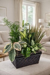 Serene Dish Garden from Flowers by Ray and Sharon in Muskegon, MI