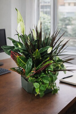 Peaceful Reflections Planter from Flowers by Ray and Sharon in Muskegon, MI