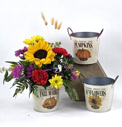 Fall Is In The Air from Flowers by Ray and Sharon in Muskegon, MI