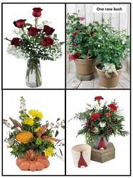 Seasonal Flower Subscription from Flowers by Ray and Sharon in Muskegon, MI