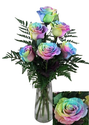 Sparkle Roses - Rainbow  from Flowers by Ray and Sharon in Muskegon, MI