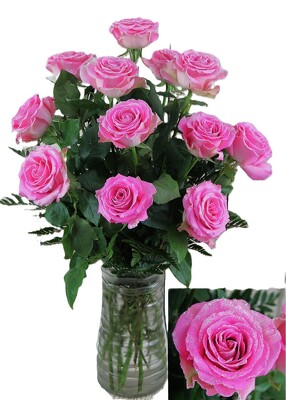 Sparkle Roses - Pink Dozen from Flowers by Ray and Sharon in Muskegon, MI