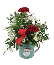 Christmas Surprise - I Love a Man with a Beard  from Flowers by Ray and Sharon in Muskegon, MI