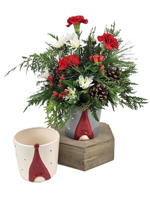 I'll Be Gnome for Christmas from Flowers by Ray and Sharon in Muskegon, MI I'll Be Gnome for Christmas from Flowers by Ray and Sharon in Muskegon, MI