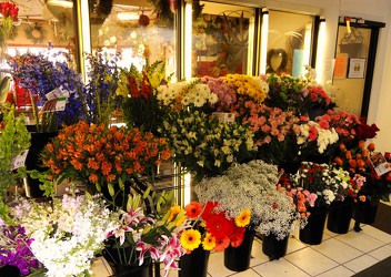 Friday and Saturday - Buy 1, Get 1 Free from Flowers by Ray and Sharon in Muskegon, MI