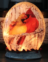 Cardinal Pair Light-Up Dome from Flowers by Ray and Sharon in Muskegon, MI