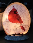 Cardinal Light-up Dome from Flowers by Ray and Sharon in Muskegon, MI