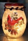 Cardinal Light-Up Jar from Flowers by Ray and Sharon in Muskegon, MI