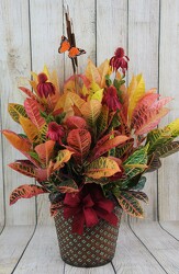 Croton Plant Dressed Up In A Tin from Flowers by Ray and Sharon in Muskegon, MI