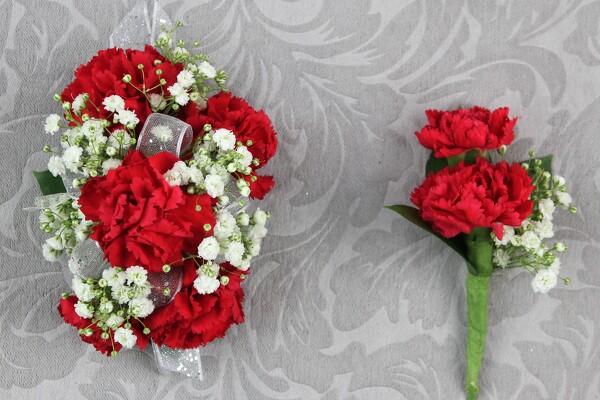 6 Red Mini Carnation Set With Baby's Breath from Flowers by Ray and Sharon in Muskegon, MI