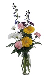 Simply Sweet Valentine from Flowers by Ray and Sharon in Muskegon, MI