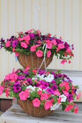 Large Cocoa Basket from Flowers by Ray and Sharon in Muskegon, MI