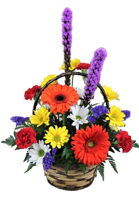 Pop of Color Basket Arrangement from Flowers by Ray and Sharon in Muskegon, MI
