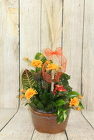 Planter in a Tin Container from Flowers by Ray and Sharon in Muskegon, MI