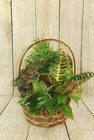 Planter Basket - Large from Flowers by Ray and Sharon in Muskegon, MI