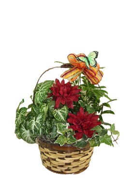 Planter Basket - Large with Seasonal Accents from Flowers by Ray and Sharon in Muskegon, MI