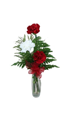 3 Carnation Vase from Flowers by Ray and Sharon in Muskegon, MI