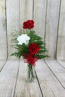 Carnation Trio Vase from Flowers by Ray and Sharon in Muskegon, MI