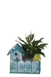 The Birdhouse Bungalow Planter from Flowers by Ray and Sharon in Muskegon, MI