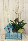 The Birdhouse Bungalow Planter from Flowers by Ray and Sharon in Muskegon, MI