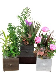 Drawer Planters from Flowers by Ray and Sharon in Muskegon, MI