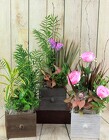 Drawer Planters from Flowers by Ray and Sharon in Muskegon, MI