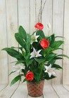 Peace Lily in a Tin Decorated from Flowers by Ray and Sharon in Muskegon, MI