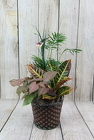 Dish Garden in a Tin Pot With Accents from Flowers by Ray and Sharon in Muskegon, MI