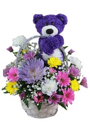 You're Beary Special - Purple Bear from Flowers by Ray and Sharon in Muskegon, MI