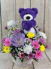 You're Beary Special - Purple Bear from Flowers by Ray and Sharon in Muskegon, MI