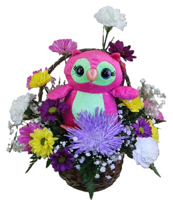You're Very Special - Olivia Owl from Flowers by Ray and Sharon in Muskegon, MI