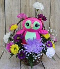 You're Very Special - Olivia Owl from Flowers by Ray and Sharon in Muskegon, MI