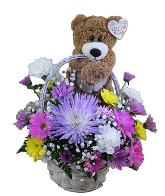 You're Beary Special -Brown Bear from Flowers by Ray and Sharon in Muskegon, MI