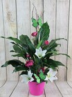 Peace Lily in a Colorful Tin with Silk Flowers from Flowers by Ray and Sharon in Muskegon, MI