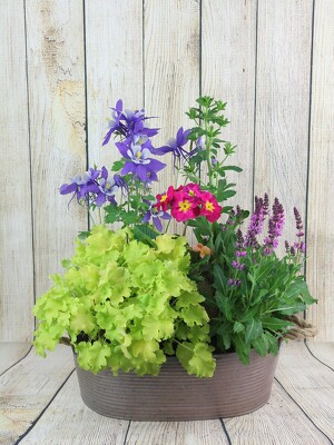 Perennial Garden in a Metal Tub from Flowers by Ray and Sharon in Muskegon, MI