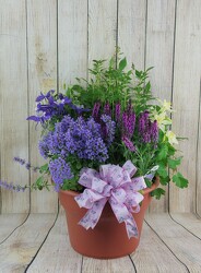 Perennial Patio Pot with a Bow from Flowers by Ray and Sharon in Muskegon, MI