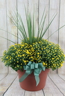 Fall Mum Patio Pot from Flowers by Ray and Sharon in Muskegon, MI
