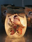 Chickadee Light-up Jar with a Bow from Flowers by Ray and Sharon in Muskegon, MI