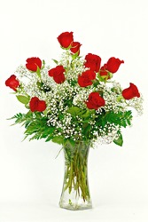Timeless Roses - Red