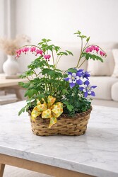 Perennial Pairing Basket from Flowers by Ray and Sharon in Muskegon, MI