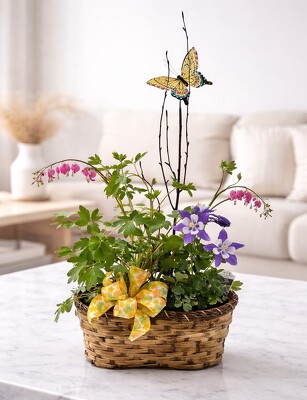 Perennial Pairing Basket with Butterfly from Flowers by Ray and Sharon in Muskegon, MI