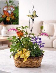 Perennial Pairing Basket with Butterfly and Flower Stake from Flowers by Ray and Sharon in Muskegon, MI