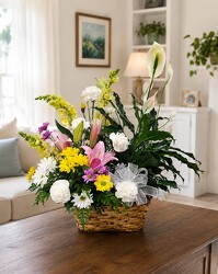Plants and Flowers in a Basket from Flowers by Ray and Sharon in Muskegon, MI